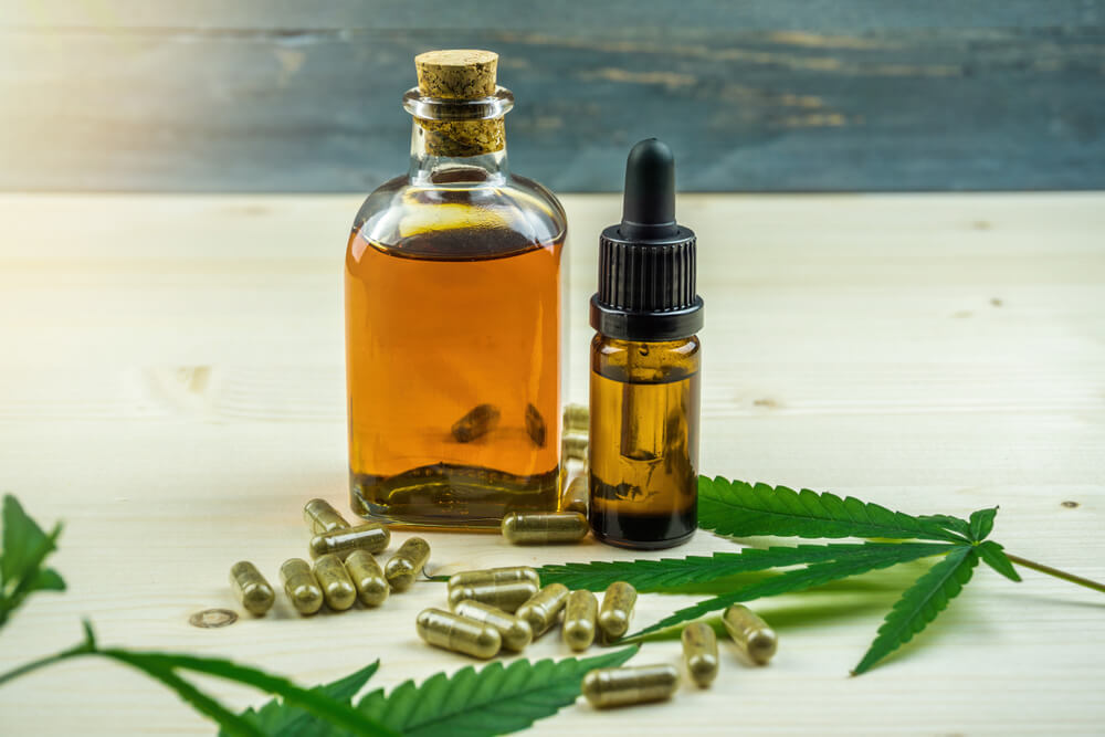 sistema endocanabinoide relacao entre cannabis medicinal