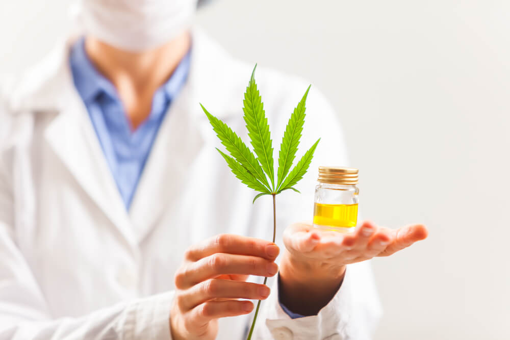 telemedicina cannabis e saude como funcionam consultas feitas