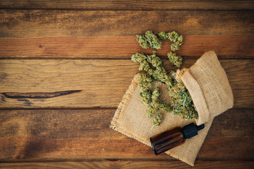cannabis regulamentação quais sao benefícios da aprovação