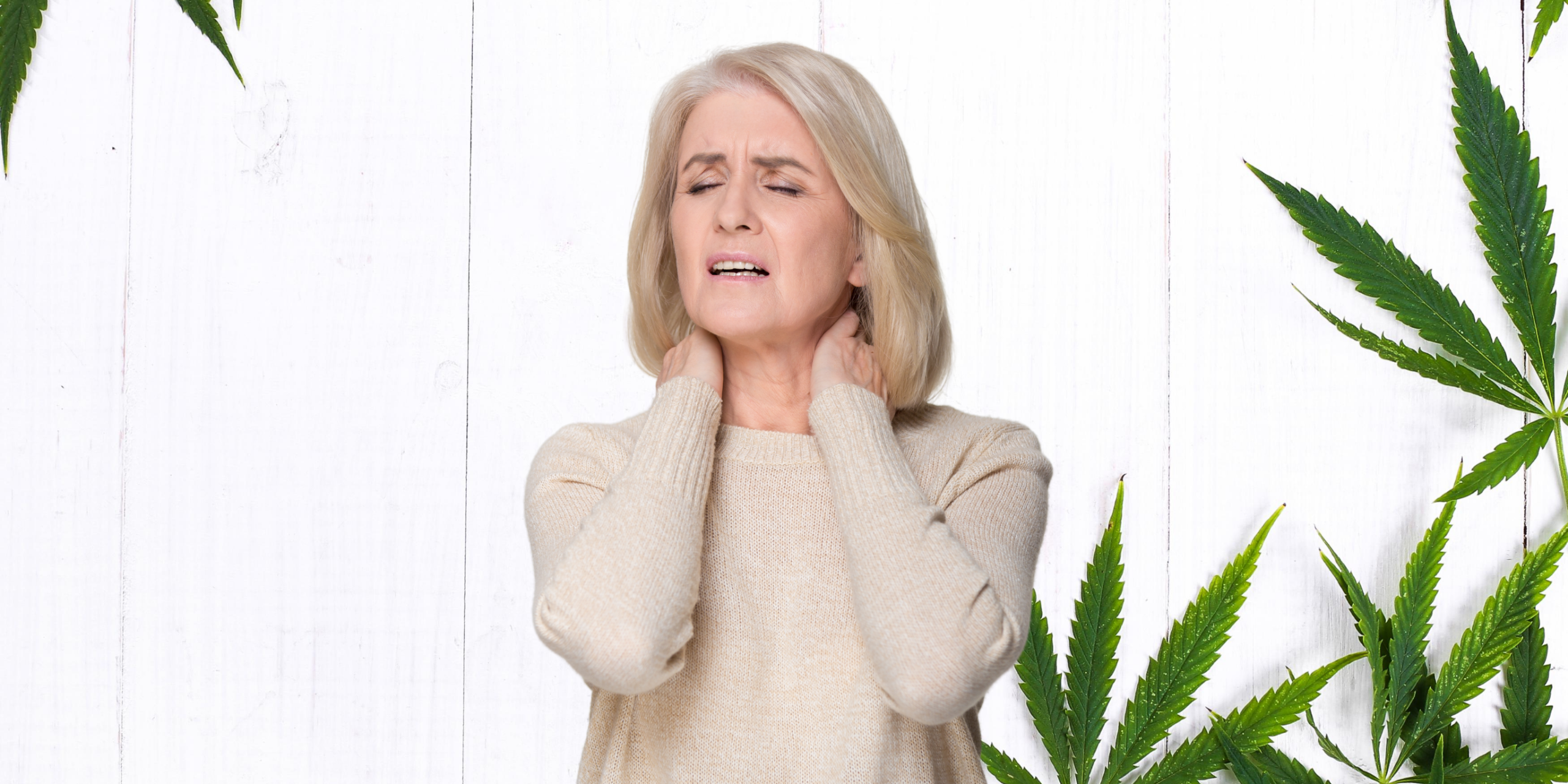 fibromialgia cannabis
