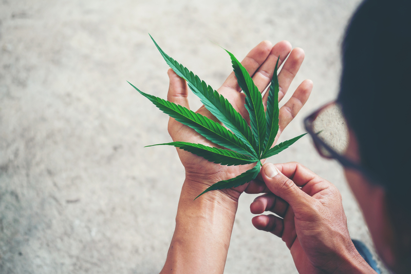 beneficios-Cannabis-medicinal-para-fibromialgia