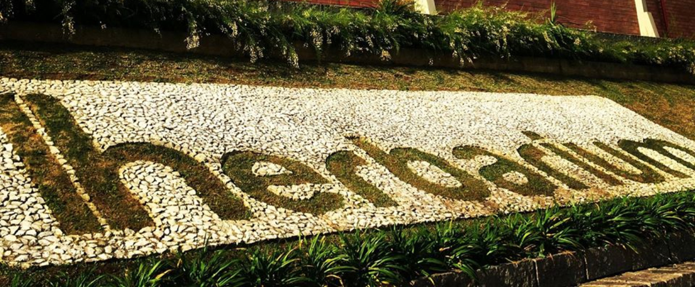 Herbarium pretende entrar no mercado de Cannabis em 2021