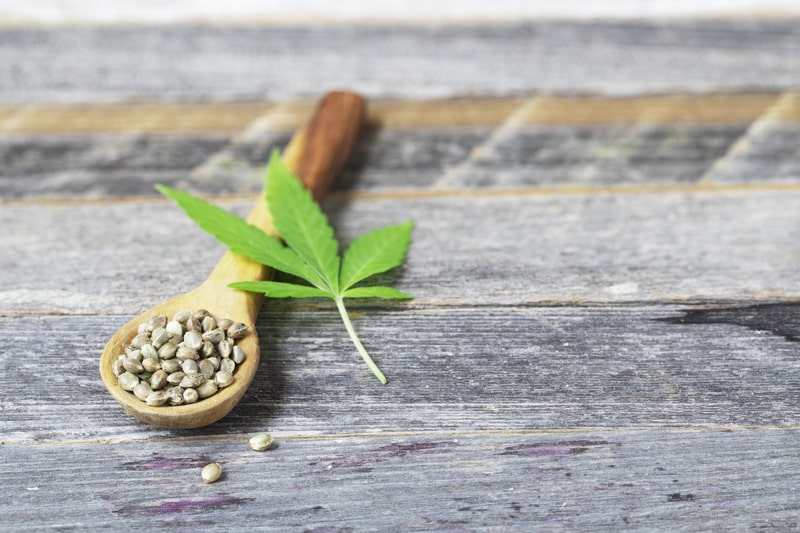 sementes de cannabis colher