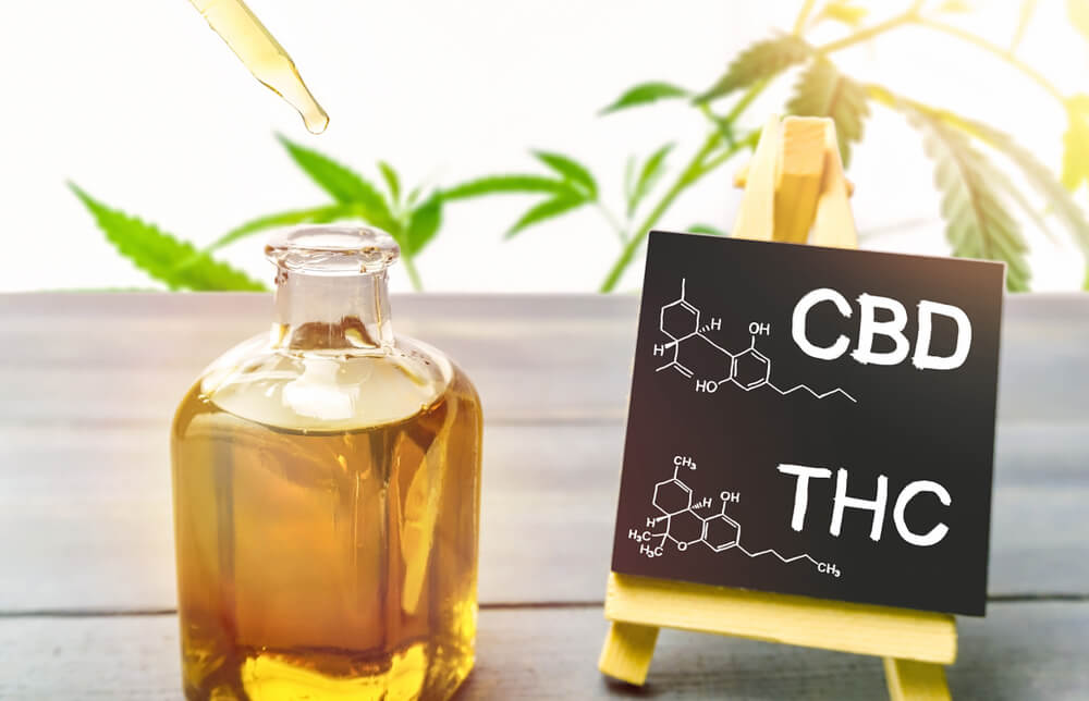 canabidiol enxaqueca diferencas entre cbd e thc