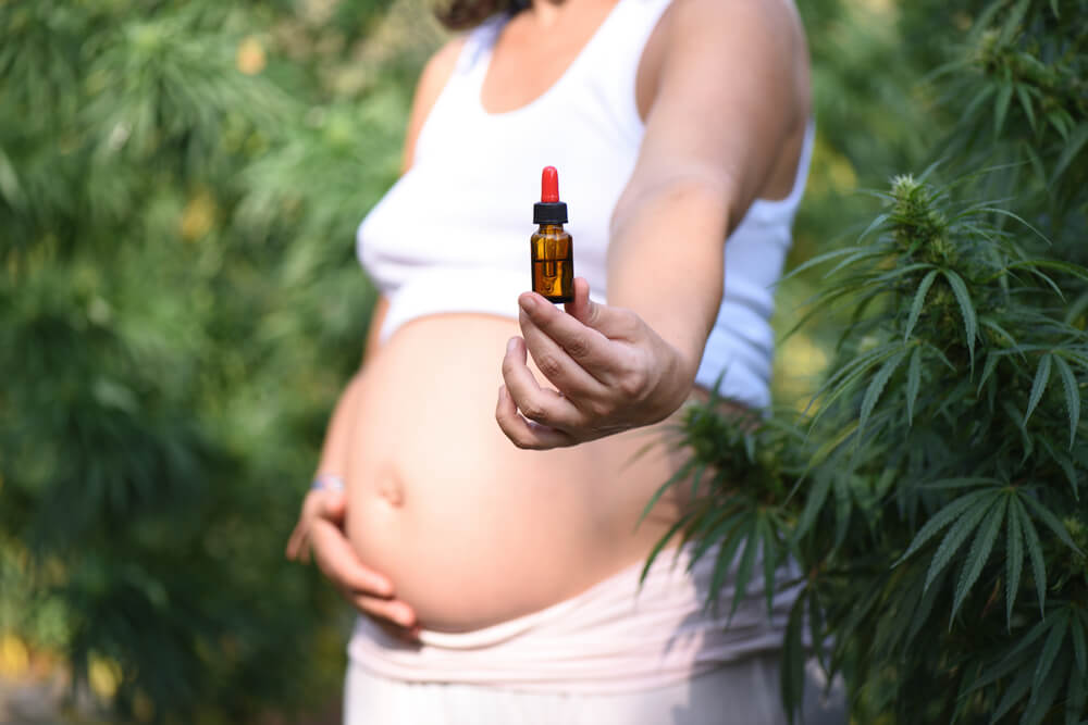 cannabis na gravidez uso pode trazer riscos para a gestação