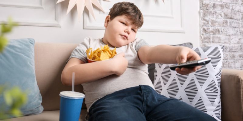 obesidade infantil causas