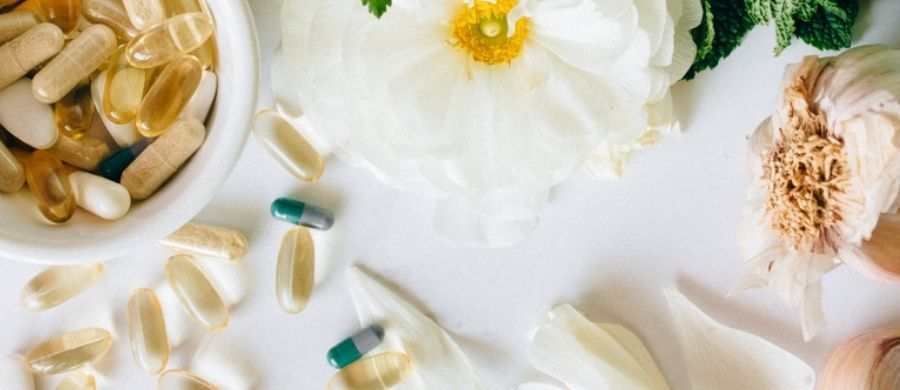 fitoterápicos-plantas-Anvisa