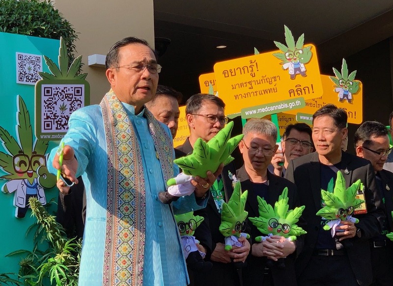 Tailândia vai distribuir Cannabis