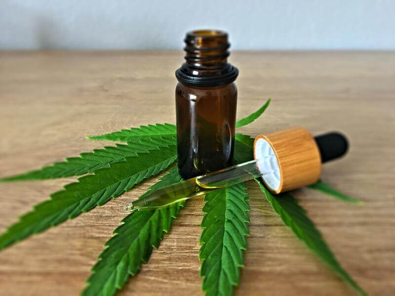 cbd e interacoes medicamentosas o que e a cannabis medicinal e canabidiol