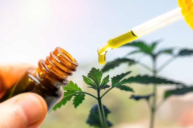 tratamentos mal de parkinson cannabis medicinal