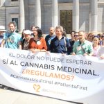¡Regulamos! Como a regulamentação da Cannabis na Espanha impacta os pacientes?