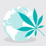 ONU: pandemia de Covid-19 e regulamentações aumentaram consumo de Cannabis no mundo