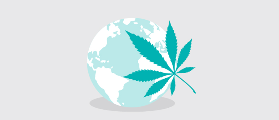 ONU: Covid-19 e regulamentações aumentaram consumo de Cannabis