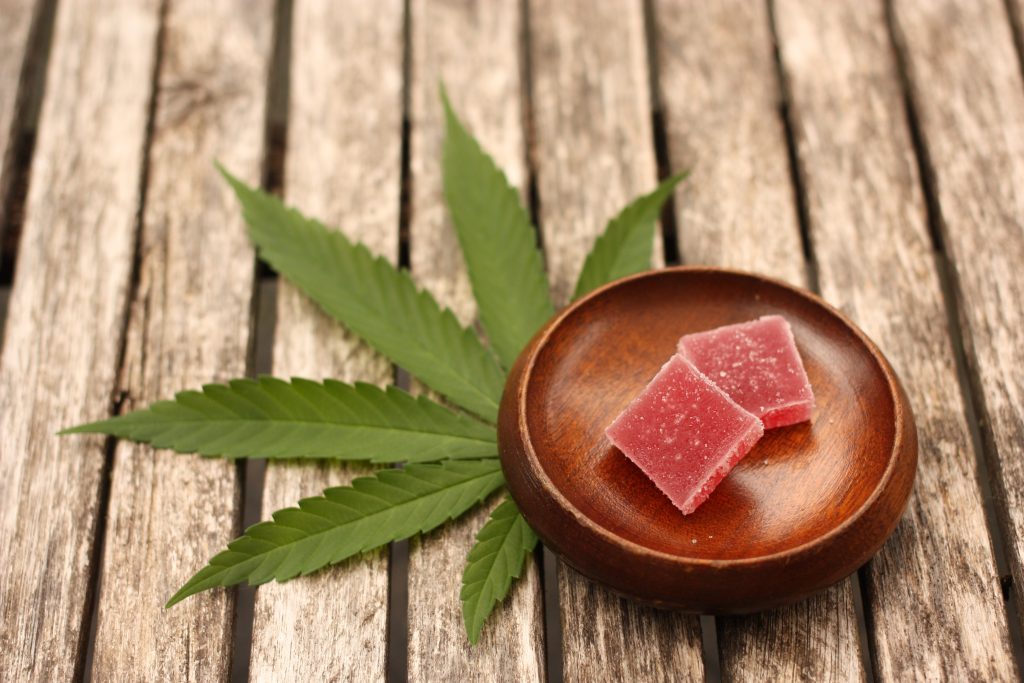 Cannabis comestível: que seu remédio seja seu alimento