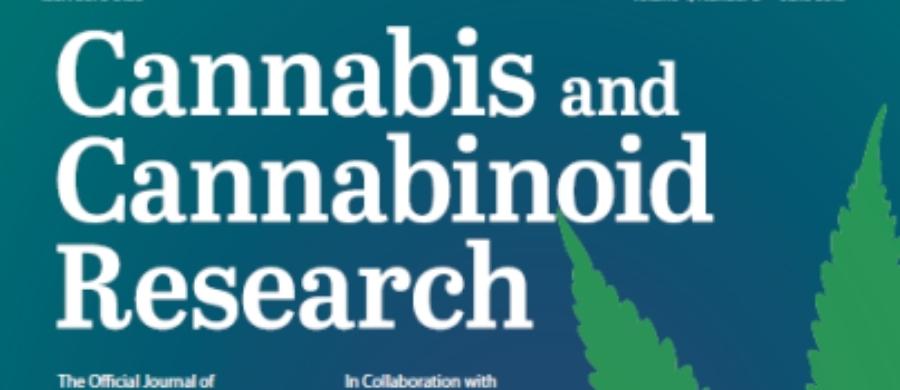 pesquisa de brasileiro pioneira Cannabis
