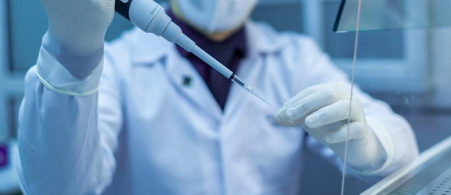 Cannabis cancer de mama