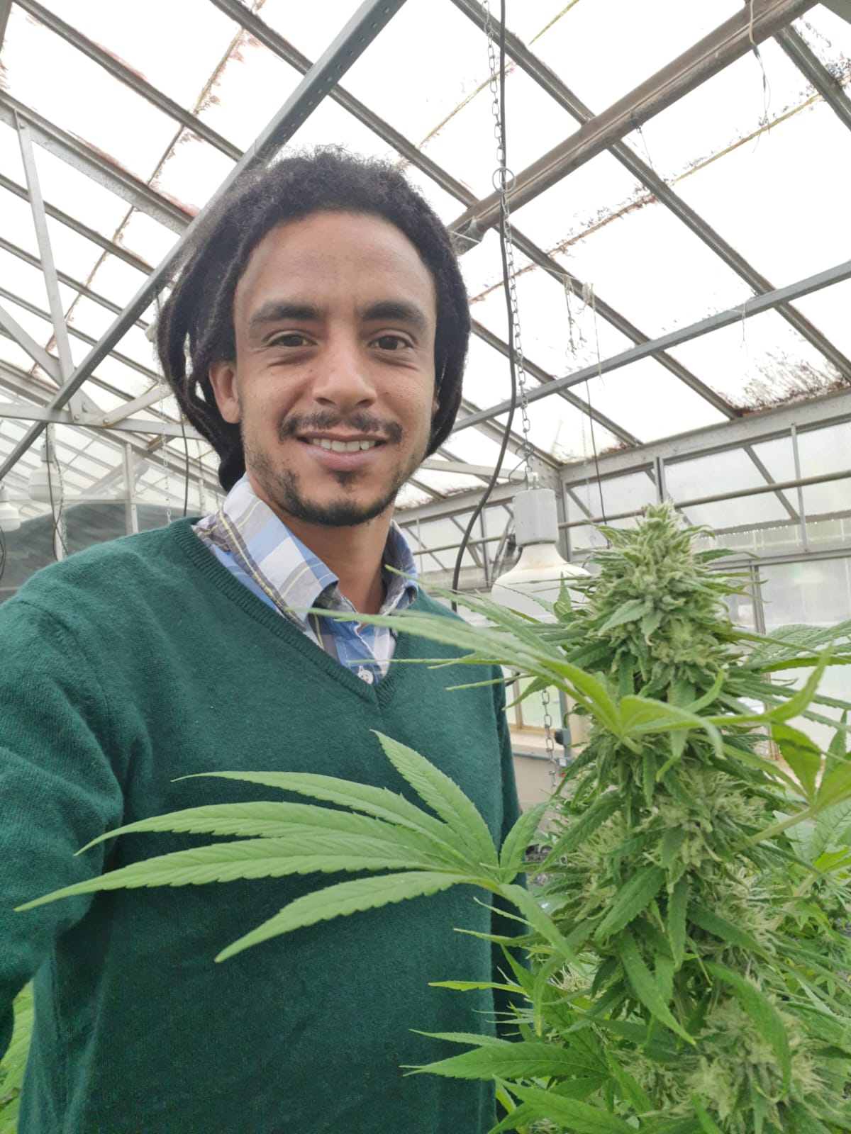 Sérgio Rocha - agrônomo Adwa Cannabis