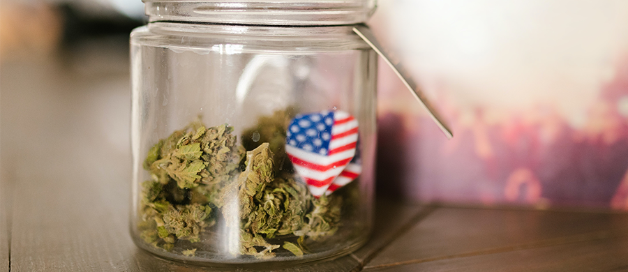Nos EUA há mais usuários de Cannabis do que de cigarro