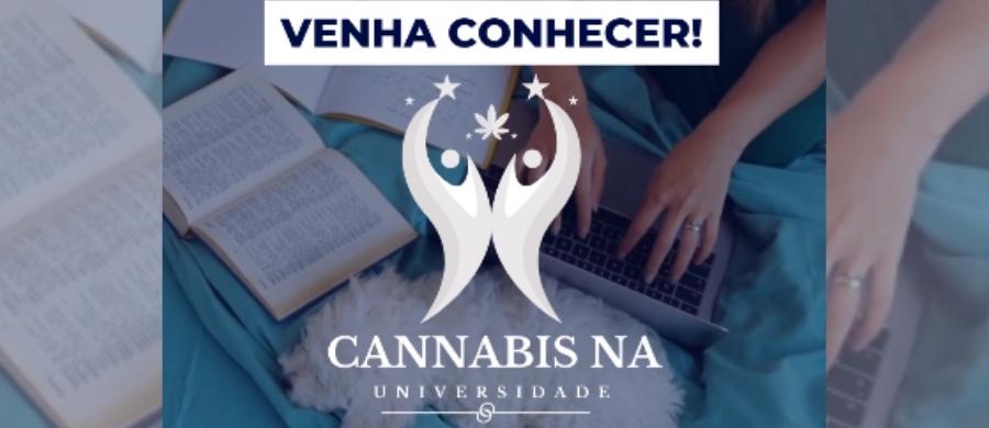 Cannabis nas universidades