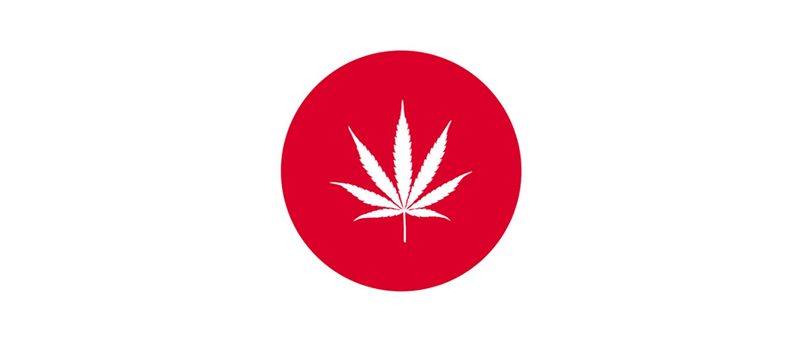 Japão trabalha em regulamentação da Cannabis