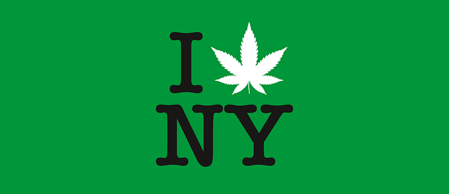 Nova Iorque lança Guia de Cultivo Doméstico de Cannabis