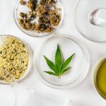 como-fazer-desintoxicacao-de-canabinoides