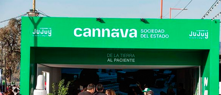 Estatal argentina Cannava produz e processa Cannabis medicinal