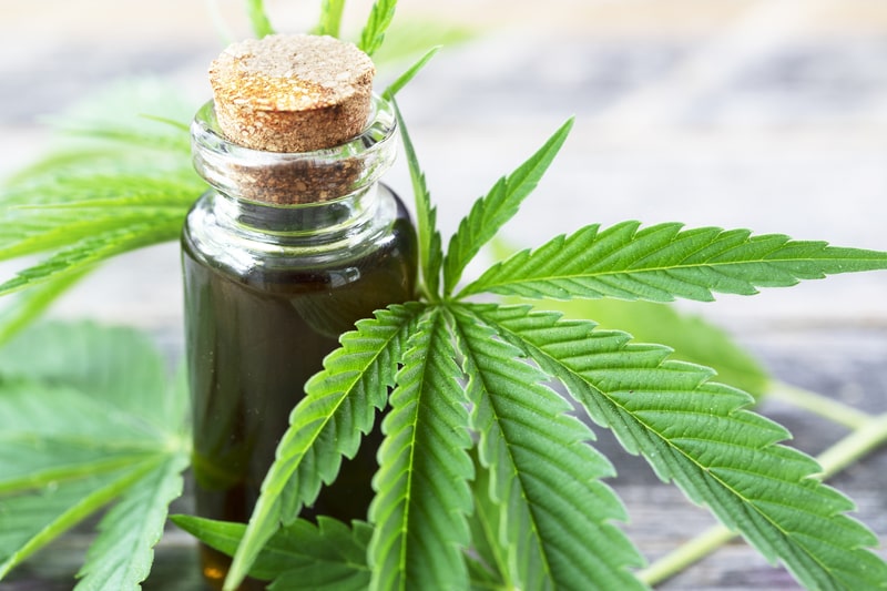 tratamentos para alergia alimentar cannabis medicinal