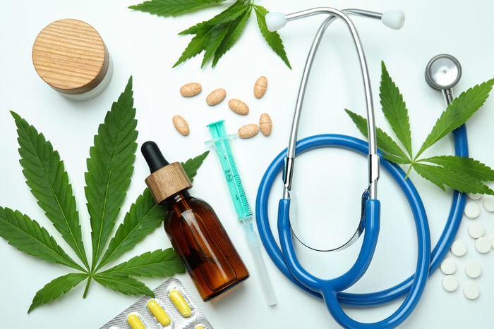plantas medicinais cannabis sativa