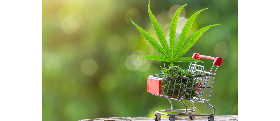 Qual o custo-benefício dos produtos com Cannabis importados?