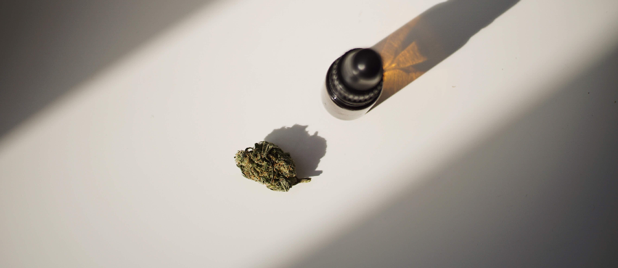Búzios inicia entrega de Cannabis medicinal através do SUS