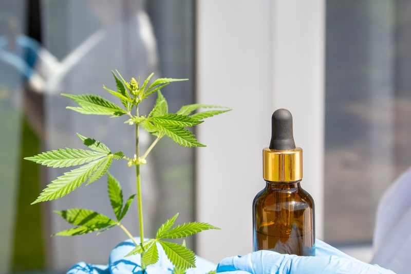 como-e-o-tratamento-com-canabidiol-passo-a-passo-cbd
