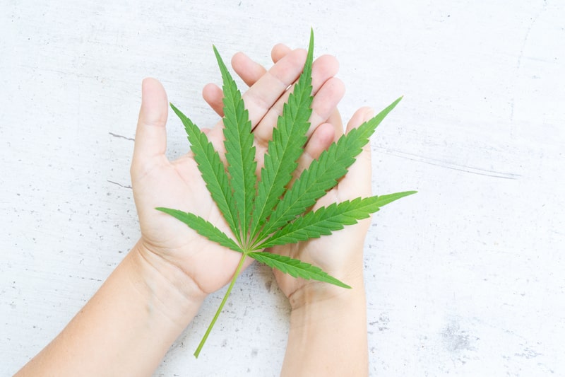 remedio para nervo ciatico cannabis