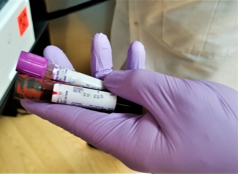 fevereiro laranja diagnostico