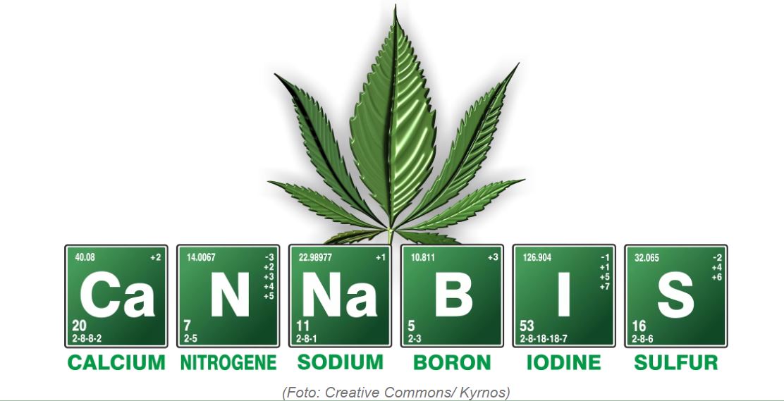 Cannabis e Química