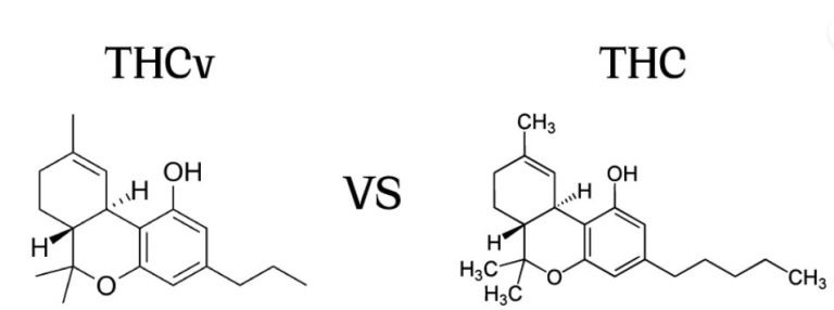 Estrutura molecular do THCV e do clássico THC.
