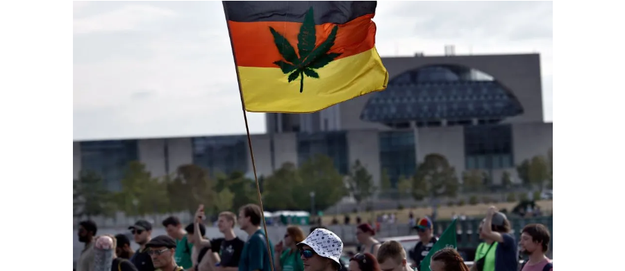 Alemanha regulamenta Cannabis para uso adulto