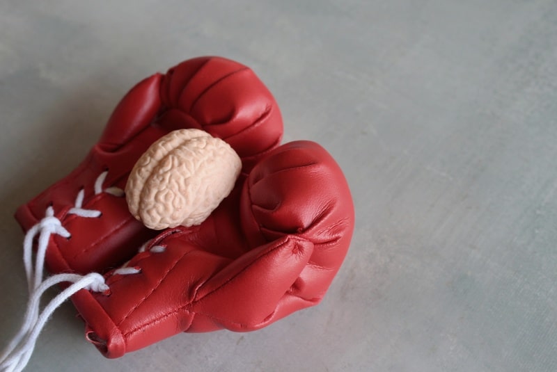 efeitos do canabidiol no cerebro luvas de luta