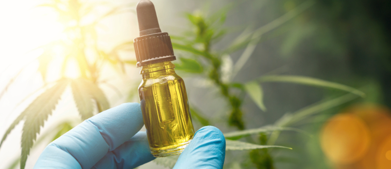 Cannabis é papo de adulto