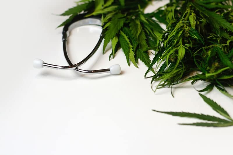 medicos que receitam canabidiol folhas de cannabis