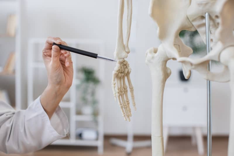 osteoporose senil esqueleto