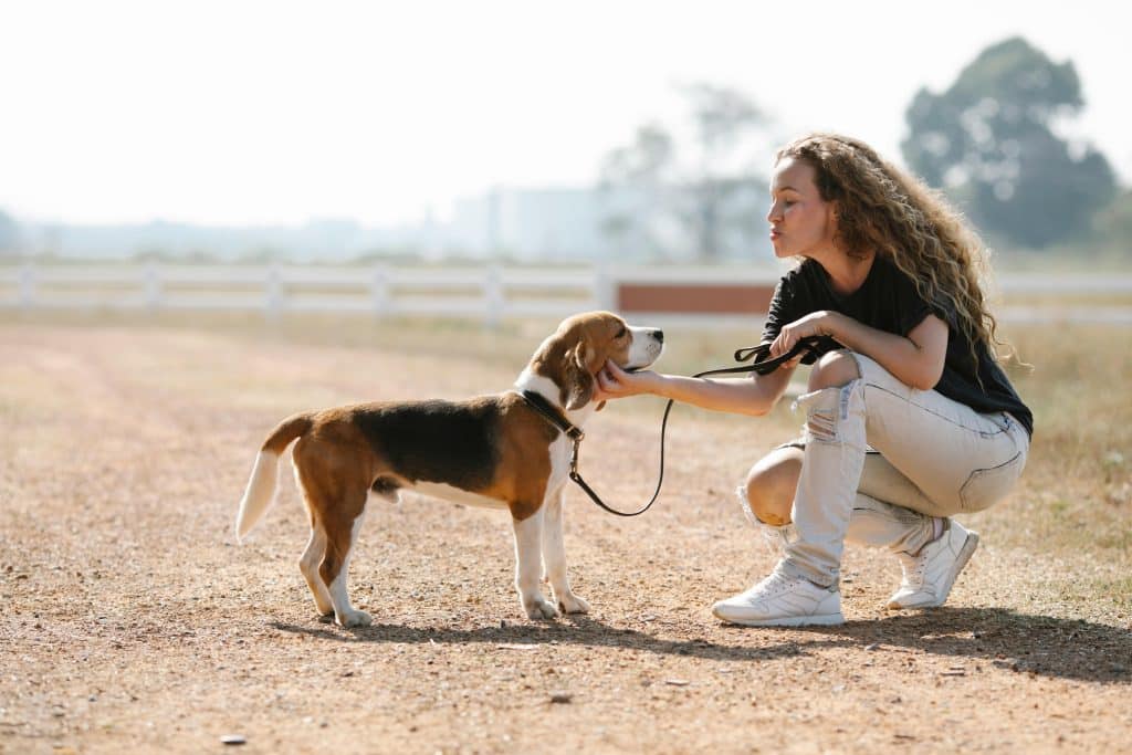 Uma mulher de joelhos faz carinho em um cachorro