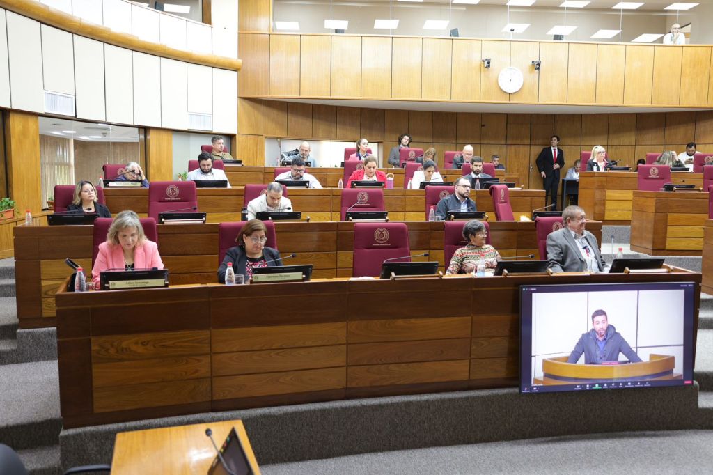 Comissão de Prevenção e Combate ao Tráfico de Drogas e Delitos Conexos organizou a reunião no plenário do Senado