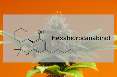 Hexahidrocanabinol (HHC) e as novas possibilidades na Medicina