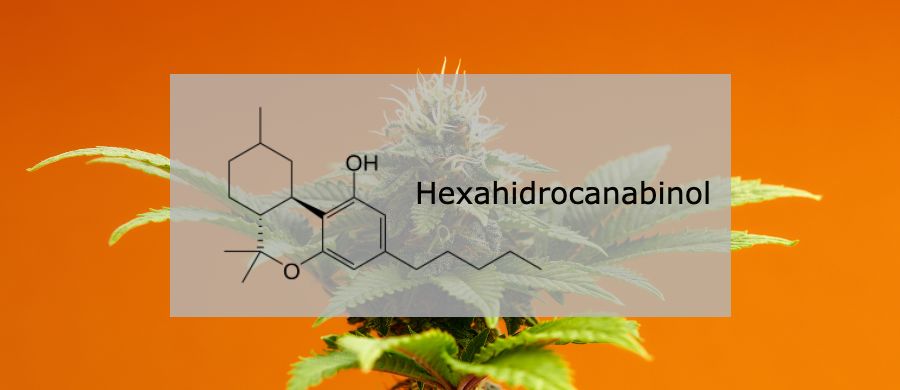 Hexahidrocanabinol (HHC) e as novas possibilidades na Medicina