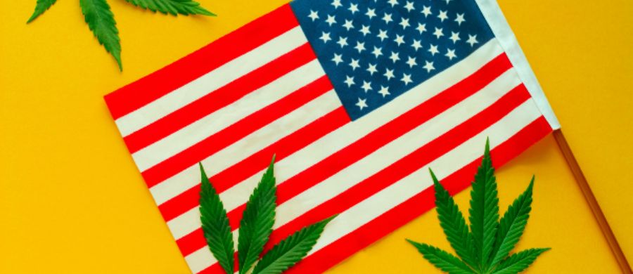 Casa Branca anuncia reclassificação da Cannabis nos EUA