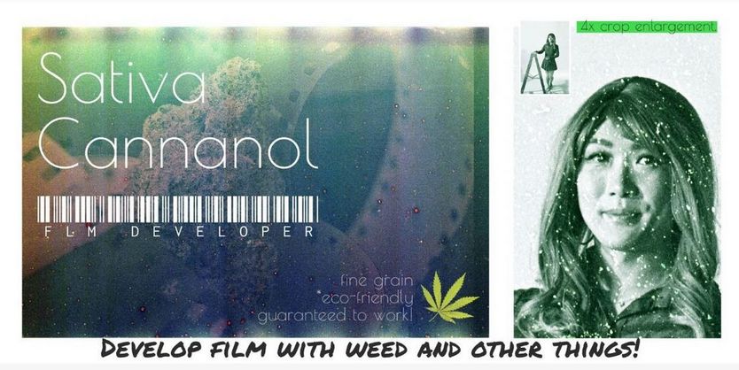 Experimento com fotografia e Cannabis | Foto: instagram.com/analog_cafe