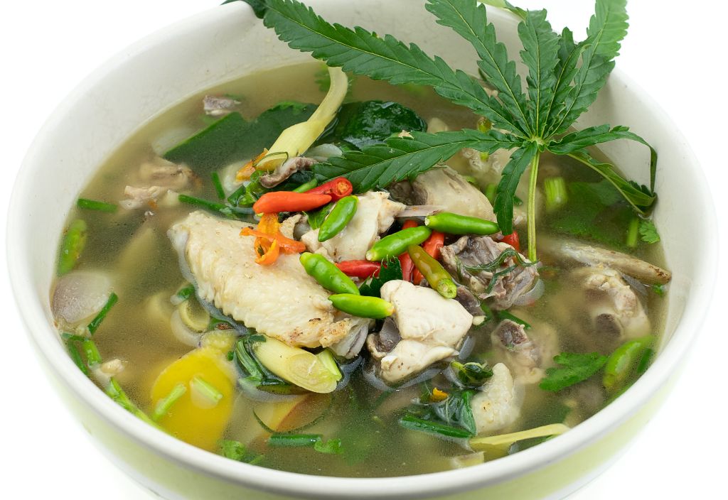 Ensopado tailandês de galinha preparado com folhas de Cannabis