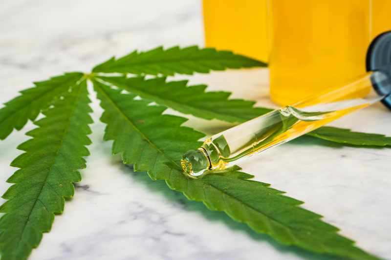 Óleo de cannabis como obter