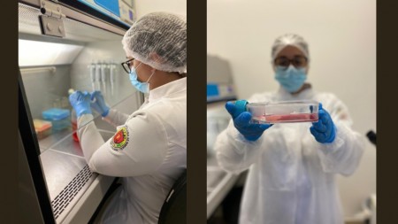 No laboratório, pesquisadora segura placa de vidro onde estuda células